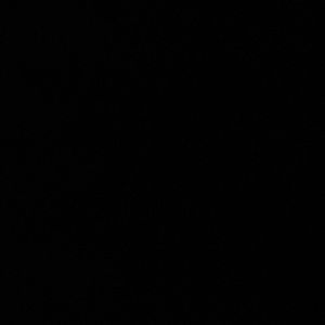 Meet your Posher, Sasha